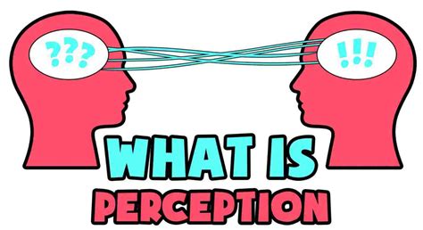 alluc perception